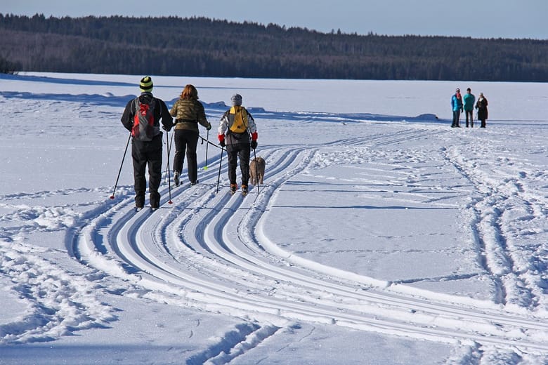 dalarna3