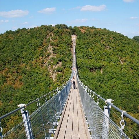 Geierlay-hangbrug