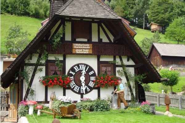 zwarte woud